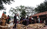 [ẢNH] Đầu xuân xem người đội trâu rơm đi cày, trai giả gái tung trấu gieo mạ...